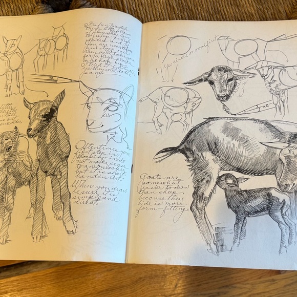 Walter T. Foster How to Draw vintage art book - Picture 11 of 11